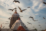 జగన్నాథ ఆలయ గోపురంపై గద్దల గుంపు.. ఆలయ అధికారులు చెప్పిన నిజం ఇదే..!